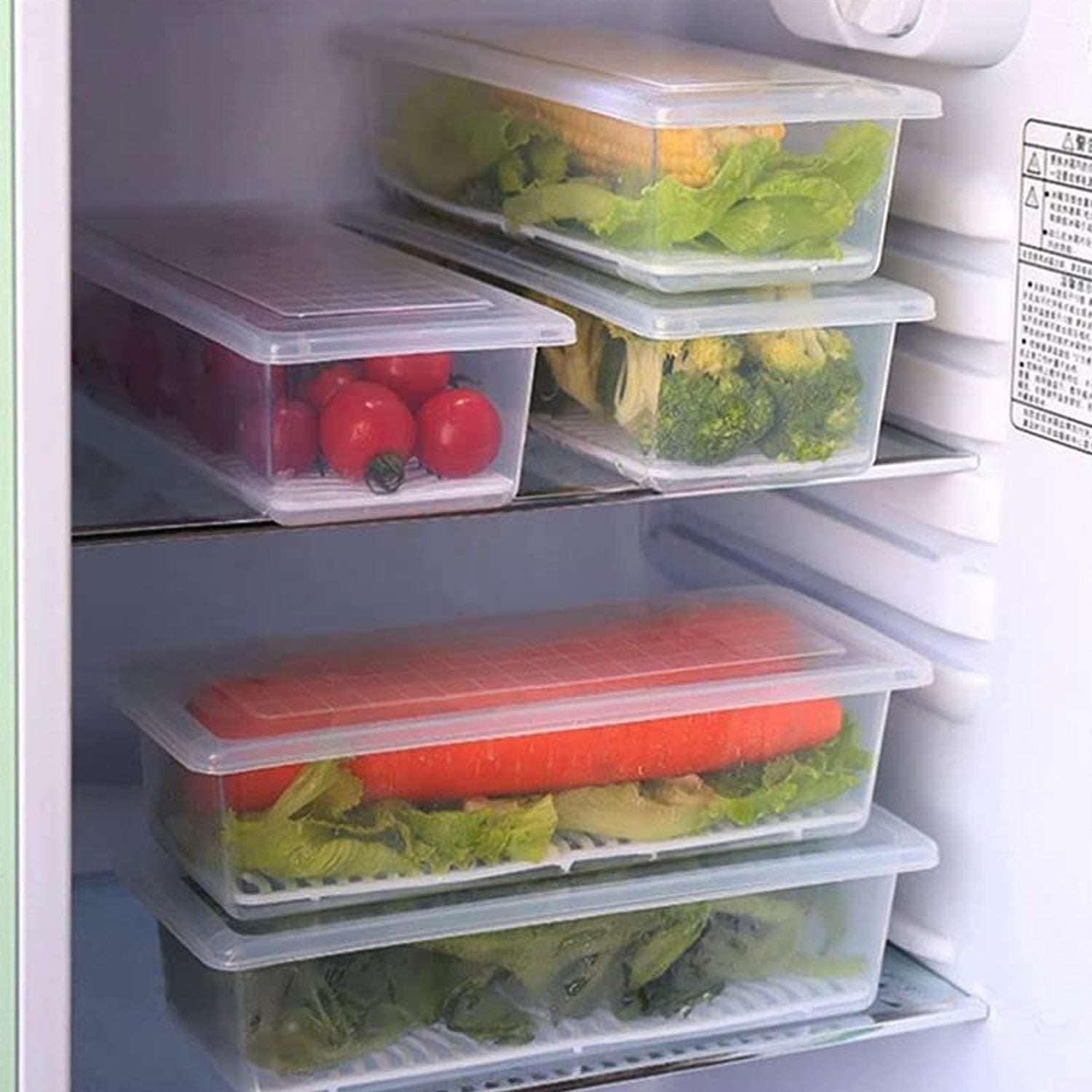 Vegetables & Fruits Freezer Storage Container (PACK OF 6PC 1500ML) - Phoenix Addicts