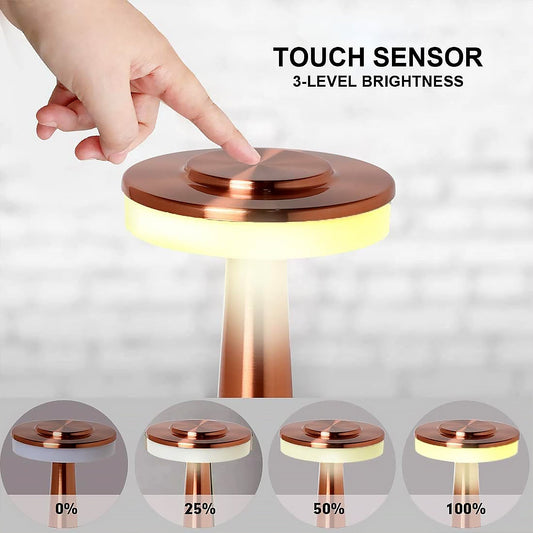 LED Lamp with Touch Control | Decorative Desk Lamp, Portable Metal LED Table Lamp, USB Rechargeable, 3 Color, 3 Levels Brightness, Dimmable Eye Protection Modern Lamp for Home Decor Party Kids Room Bedroom (1 Pc)