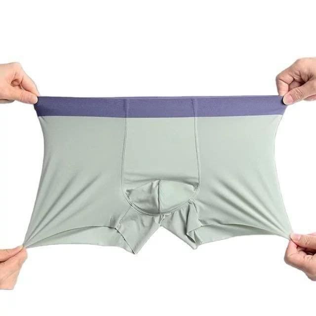 Men's Ice Silk Briefs Boxers (Pack of 5) - Phoenix Addicts